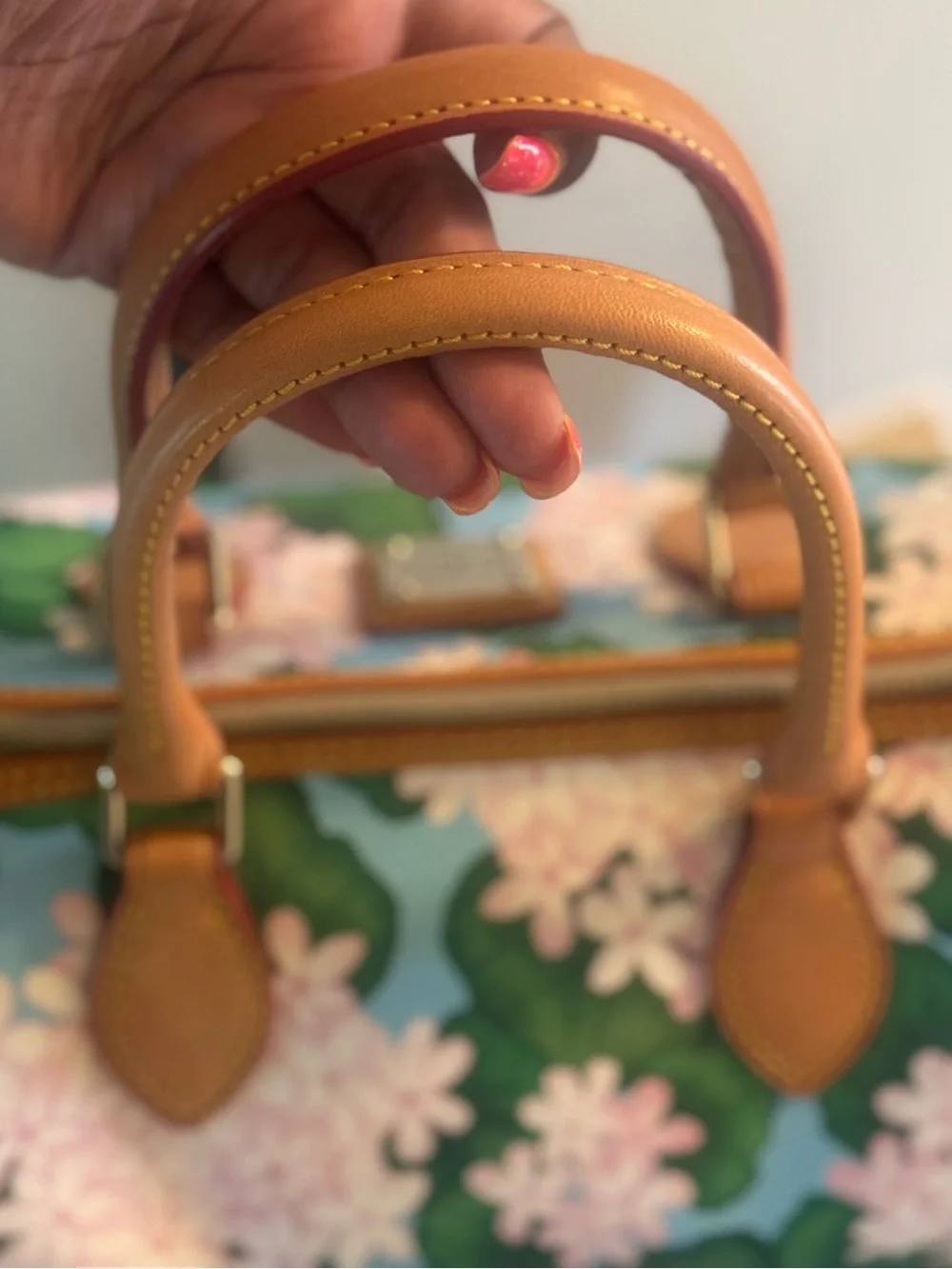 Dooney & Bourke Floral Satchel + Matching Wallet Set — Excellent Condition